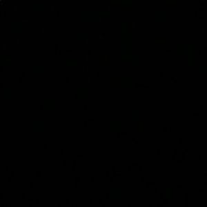 Meet your Posher, Sofia